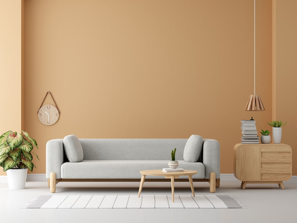 Interior Ideas for Cozy Living Rectangle 365 2 Min
