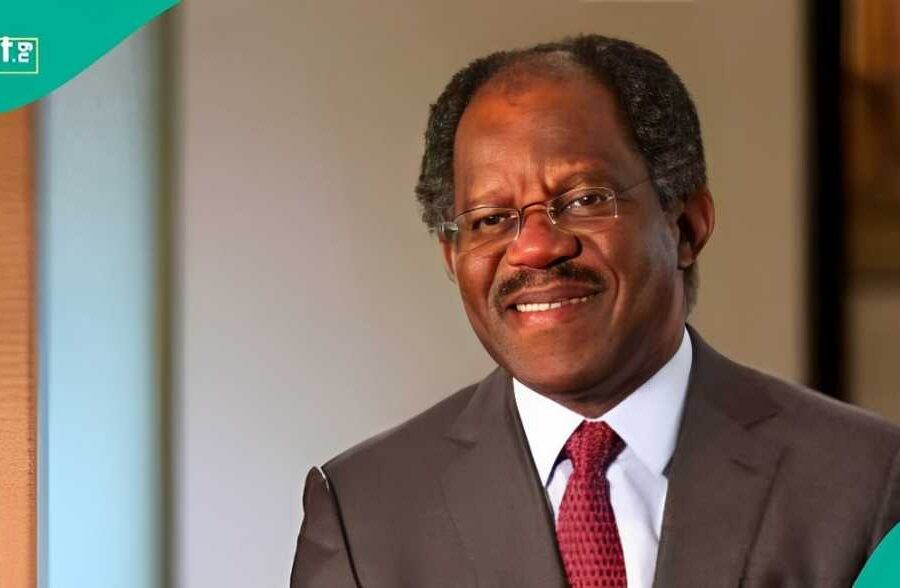 Adebayo Ogunlesi Names Three Key Sectors for Future Investment