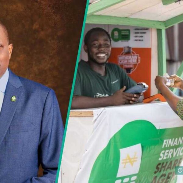 CBN Imposes Strict Penalties to Combat Illegal Banking Agents