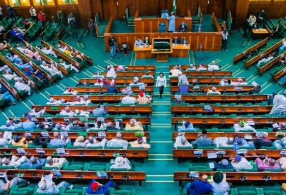 Lawmakers Advance Green Tax Plan for Nigerian Plastic Industry