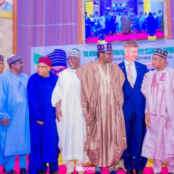 Yobe State Unveils Mining Strategy to Boost Jobs, Industry Growth