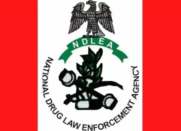NDLEA Seizes 10,000 Captagon Pills, Shuts Down Drug Networks in Multiple States