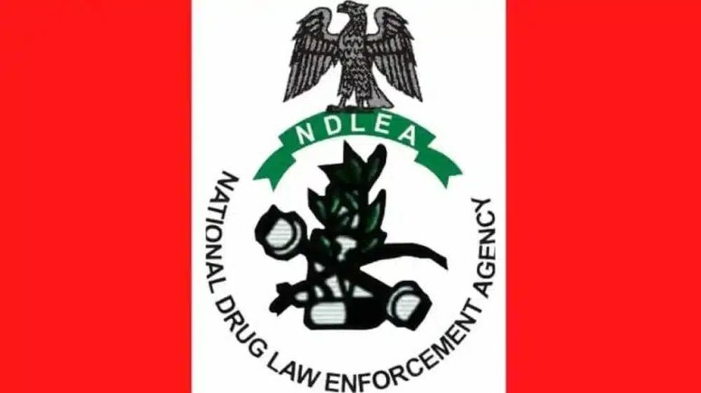 NDLEA Seizes 10,000 Captagon Pills, Shuts Down Drug Networks in Multiple States