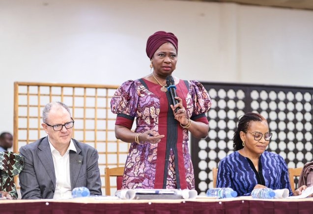 FG Rallies Stakeholders to Review and Strengthen Diaspora Policy Framework