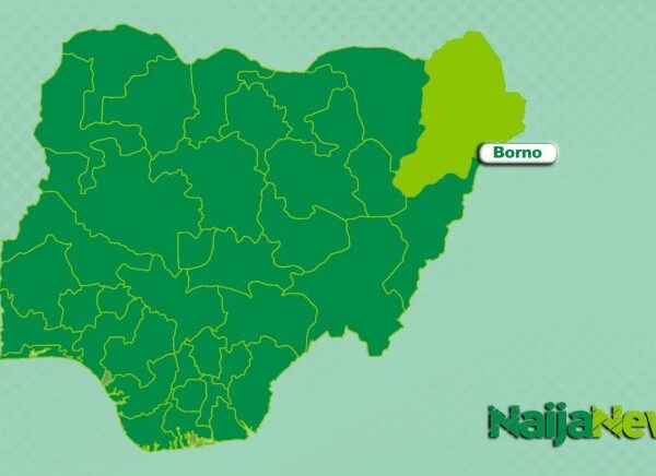 Lightning Strike Kills Police Inspector in Maiduguri