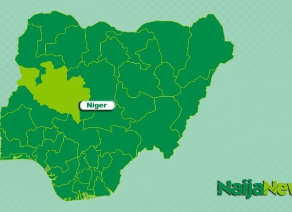 Niger Man Loses Three Children in Military Airstrike Incident
