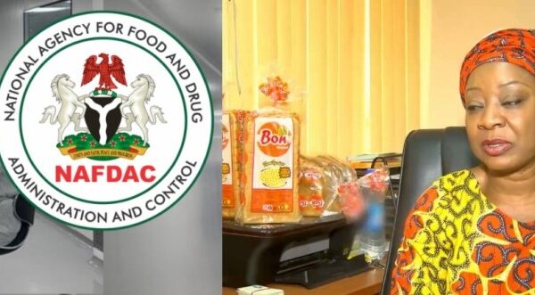 NAFDAC Confirms BON Bread Safe: No Harmful Substances Detected Amid Viral Shelf Life Controversy