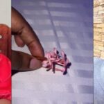Judy Austin Emotional as First Son with Yul Edochie Gifts Her Flowers