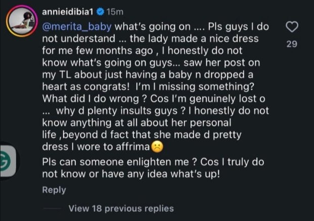Annie Idibia Responds to Criticism Over "She Made A Dress For Me" Comment on Luminee’s Page